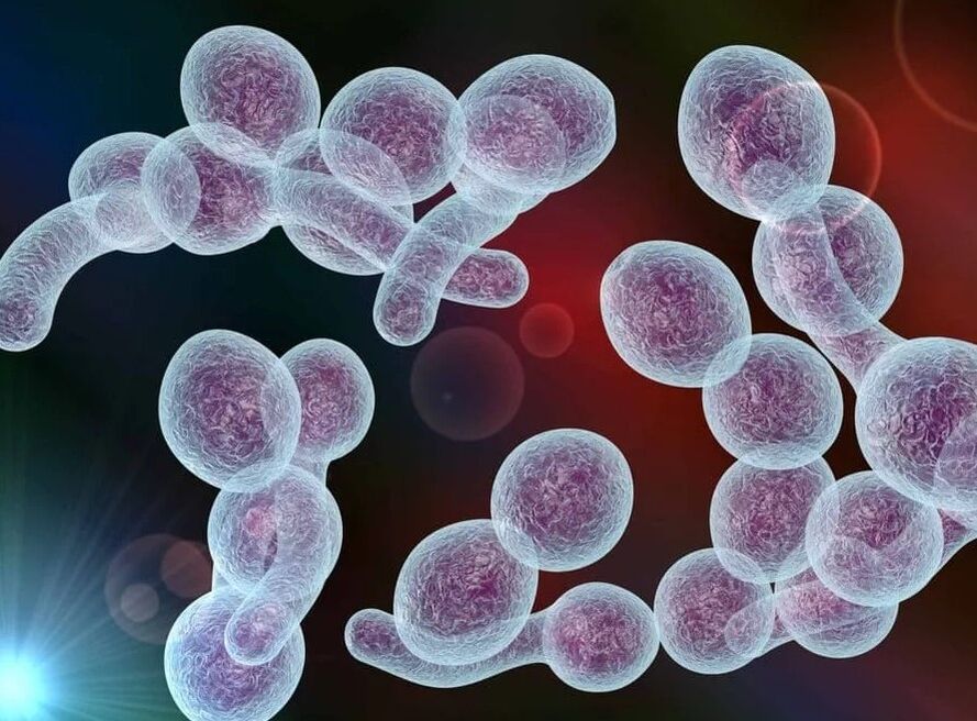 Prostatite batterica