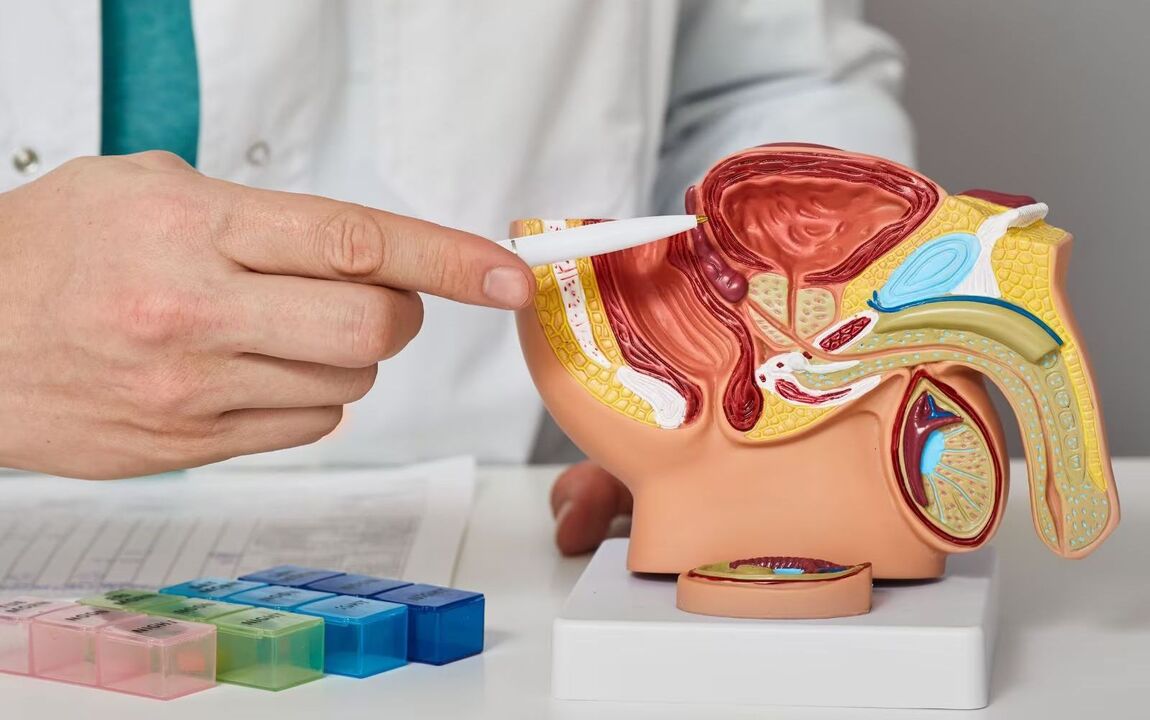localizzazione della prostata